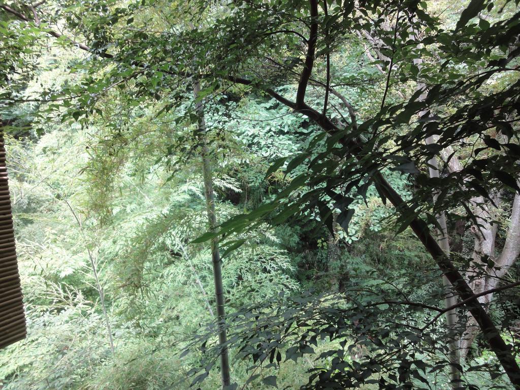 Ryokan Kiritani Hakoneso Esterno foto