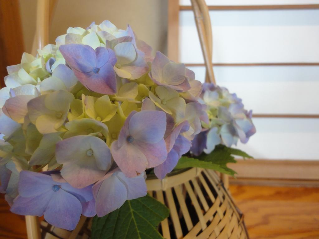 Ryokan Kiritani Hakoneso Esterno foto